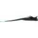 - RONDINELLA FINS AQUAMARINE 43/44 (8,5/9,5)